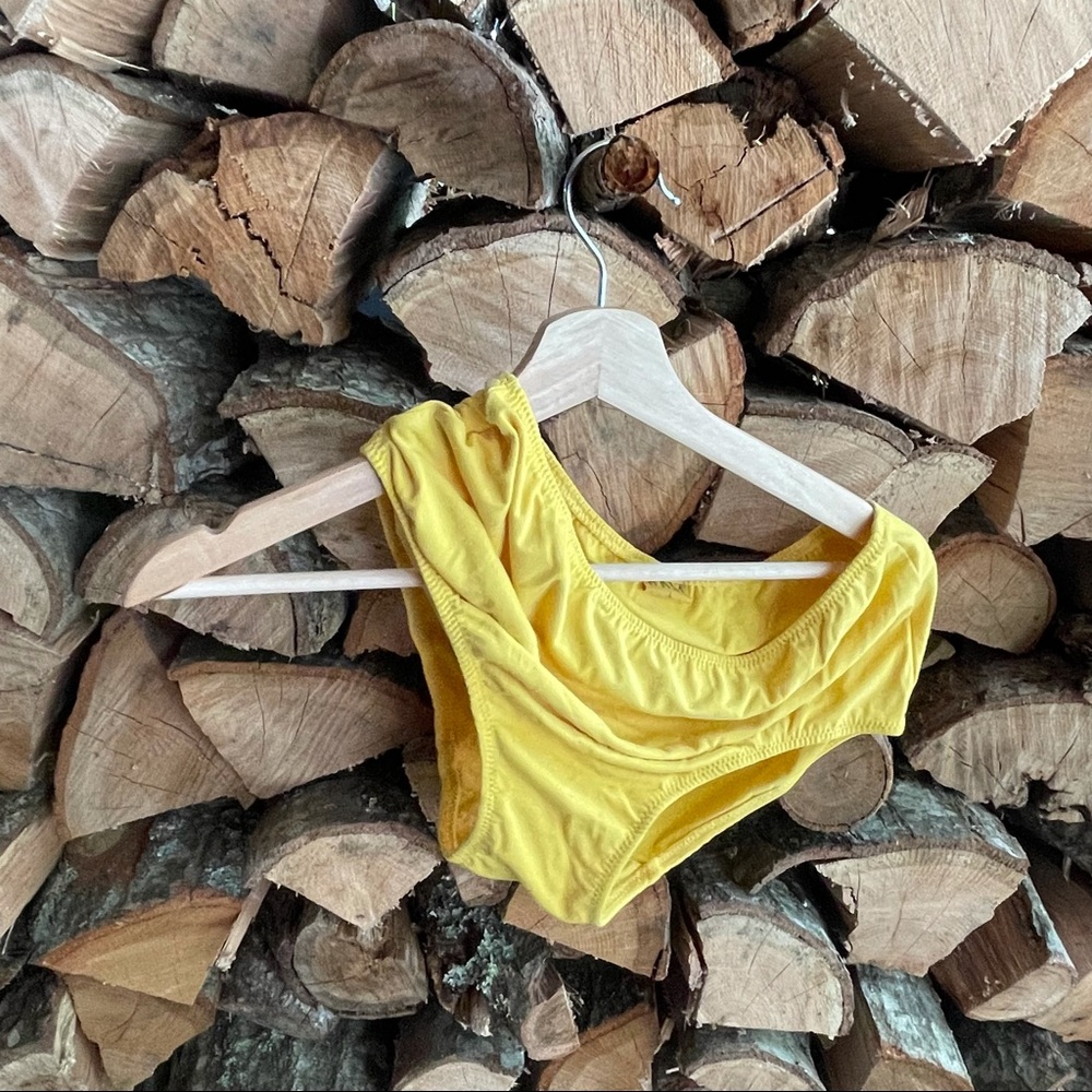 NWOT Hara the label high rise lena undies!